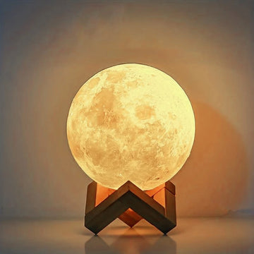 The Moon Light