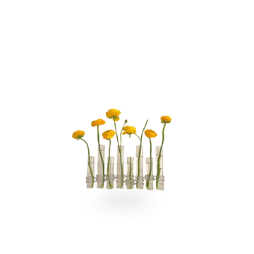 The Test Tube Flower Vase Set
