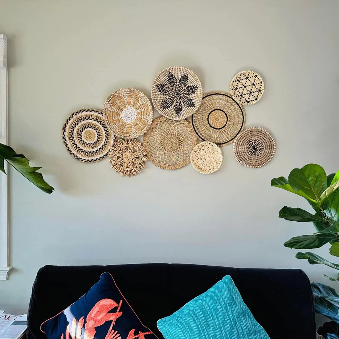 The Sea Dollar Array Wall Decor