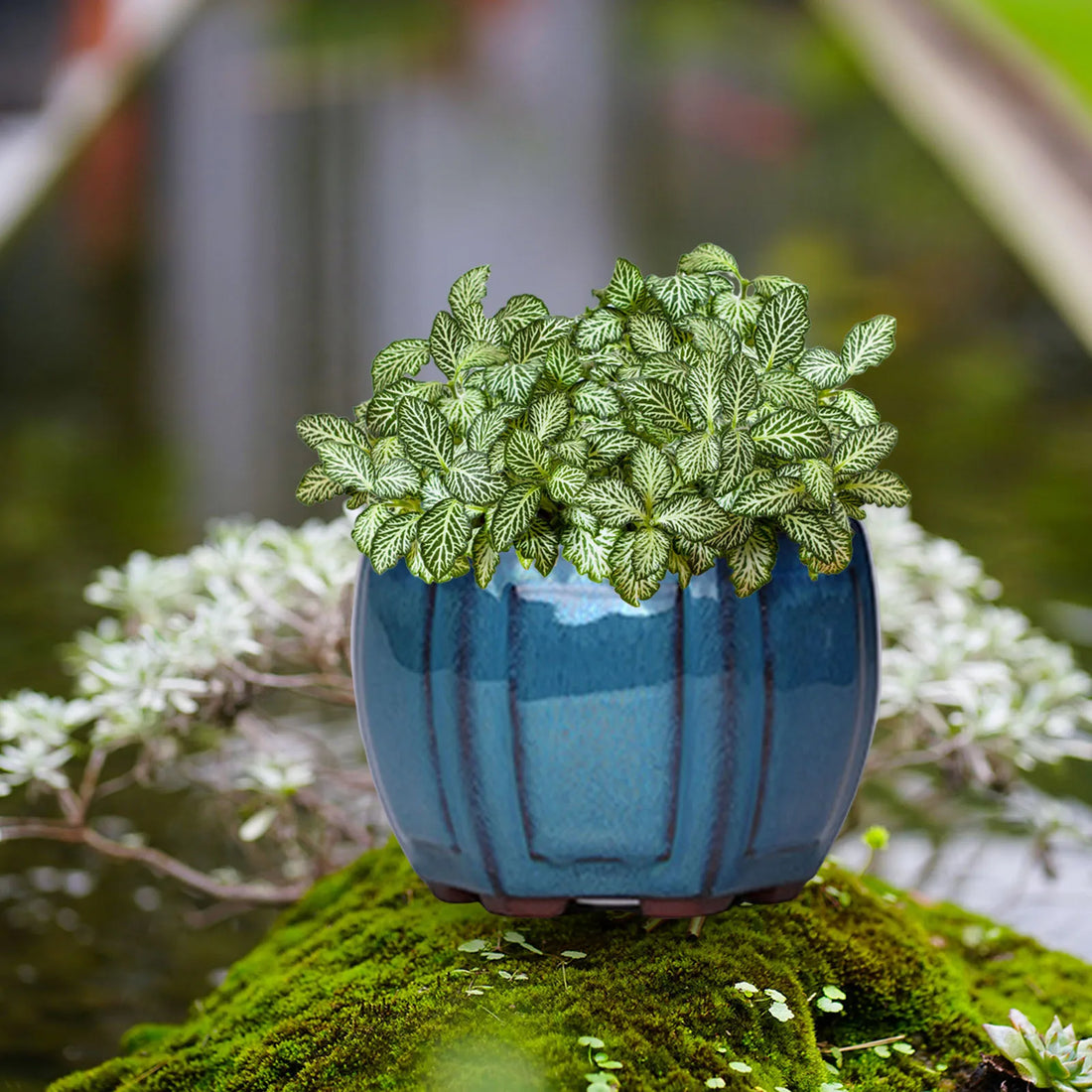 The Hera Vase